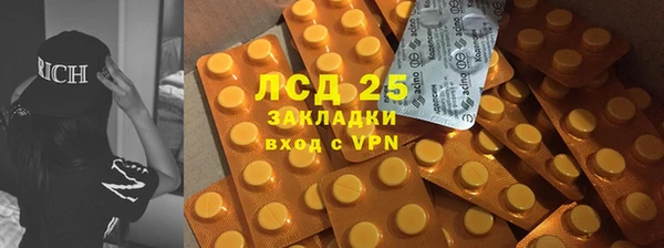 ешки Алексин