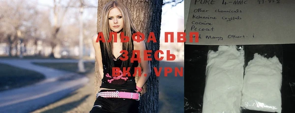 ешки Алексин