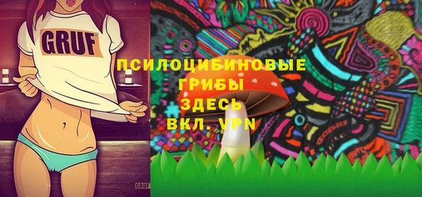 спиды Алексеевка