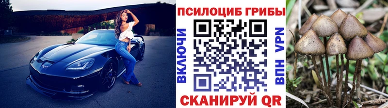 Галлюциногенные грибы Psilocybe  Микунь 